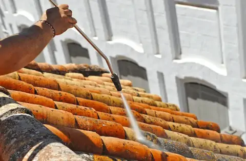 Nettoyage de toitures - Pont-de-Metz